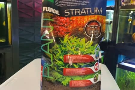 How Long Does Fluval Stratum Last?