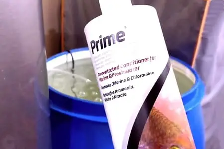 Can Too Much Water Conditioner Kill Fish? Here’s The Truth!