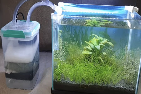 How To Change Aquarium Filter Without Losing Bacteria?