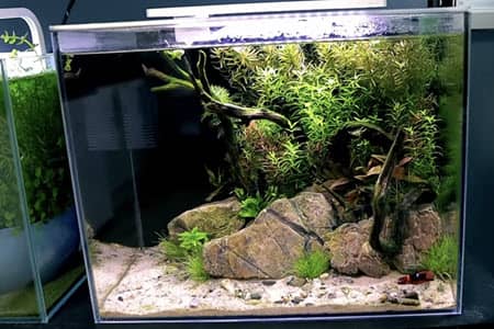 How To Remove Scratches From Aquarium Glass: A Quick Guide