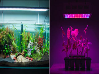 aquarium light vs grow lights