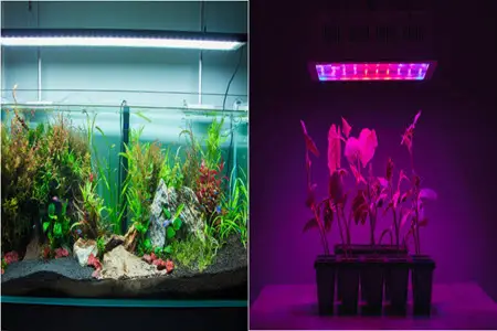 Aquarium Light Vs Grow Light: Which Is Better For Planted Tank?