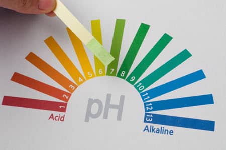 How To Maintain pH Level In Aquarium: A Quick Guide