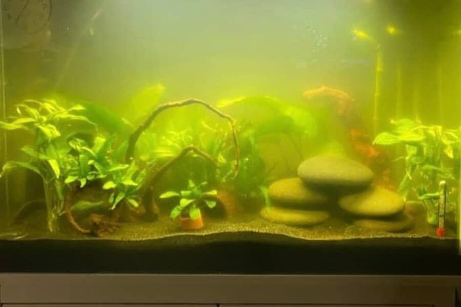 are UV filters good for aquariums