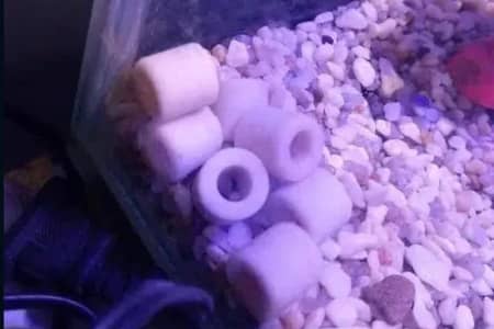 where to put ceramic rings in aquarium